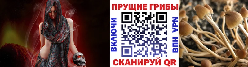 наркошоп  Домодедово  mega как зайти  Галлюциногенные грибы прущие грибы 